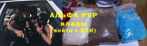 стаф Осинники