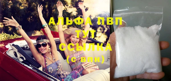 стаф Осинники
