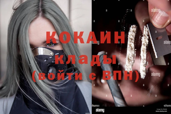стаф Осинники