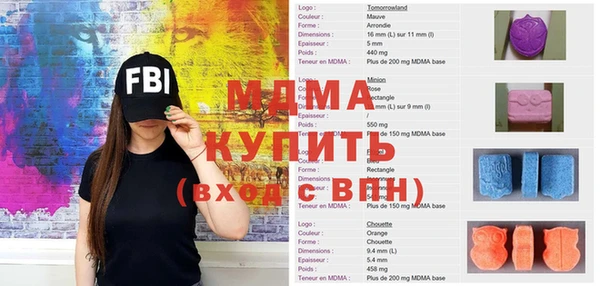 стаф Осинники