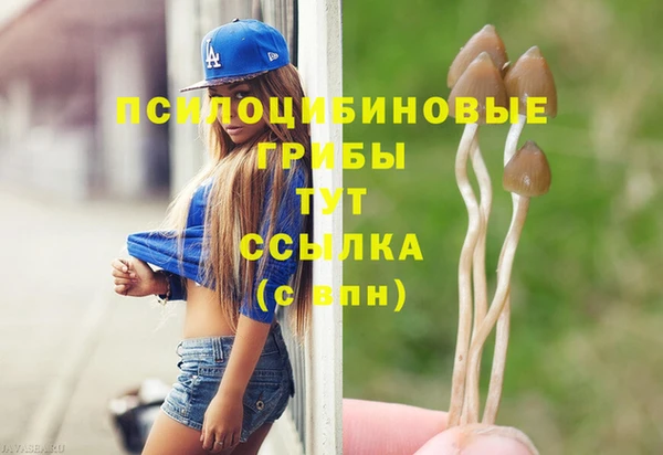 ALPHA-PVP Осташков