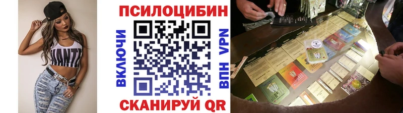 где продают наркотики  Серов  Псилоцибиновые грибы Psilocybe 