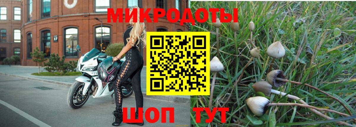 Галлюциногенные грибы мицелий Серов